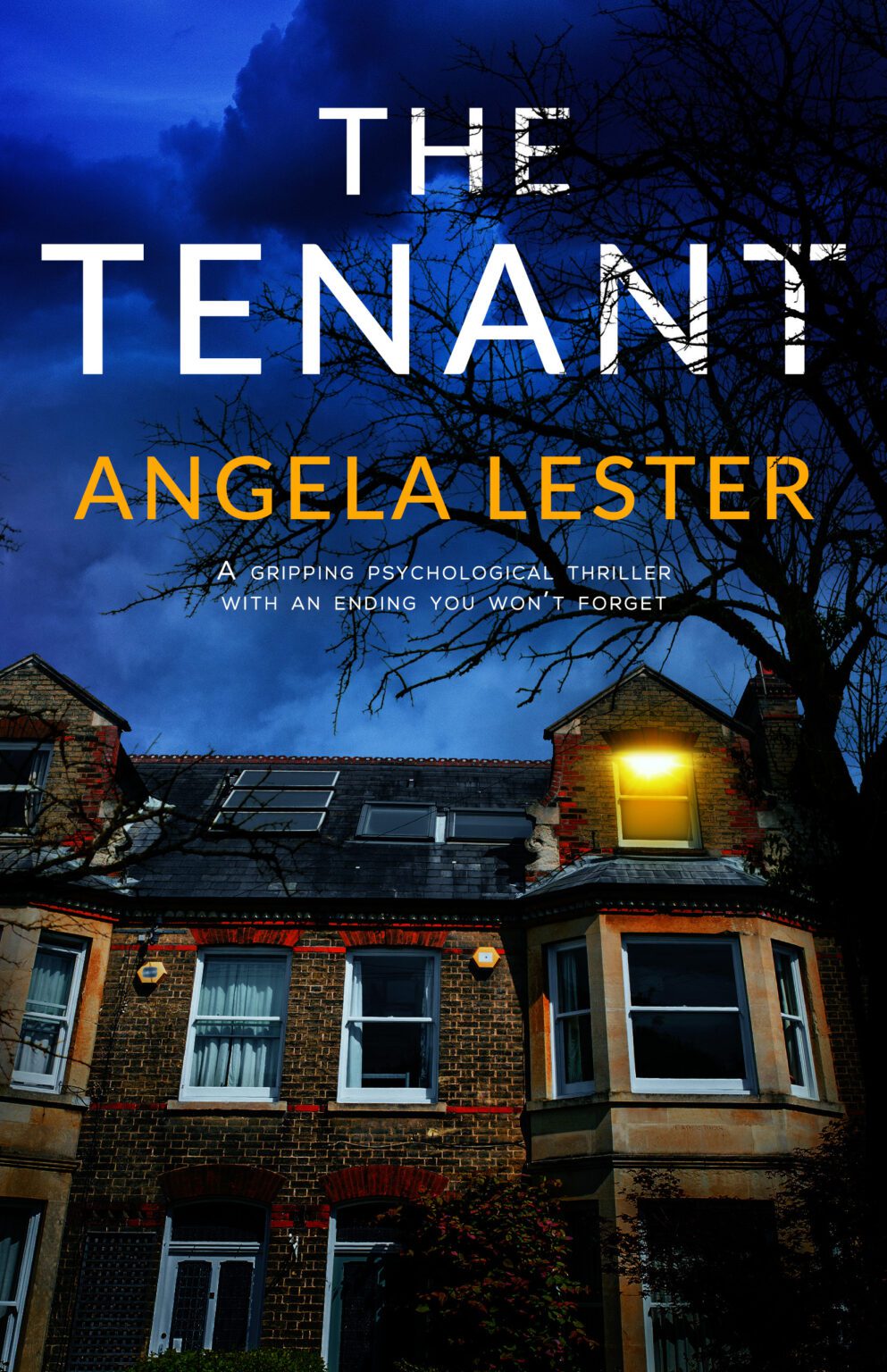 The Tenant, by Angela Lester - loopyloulaura