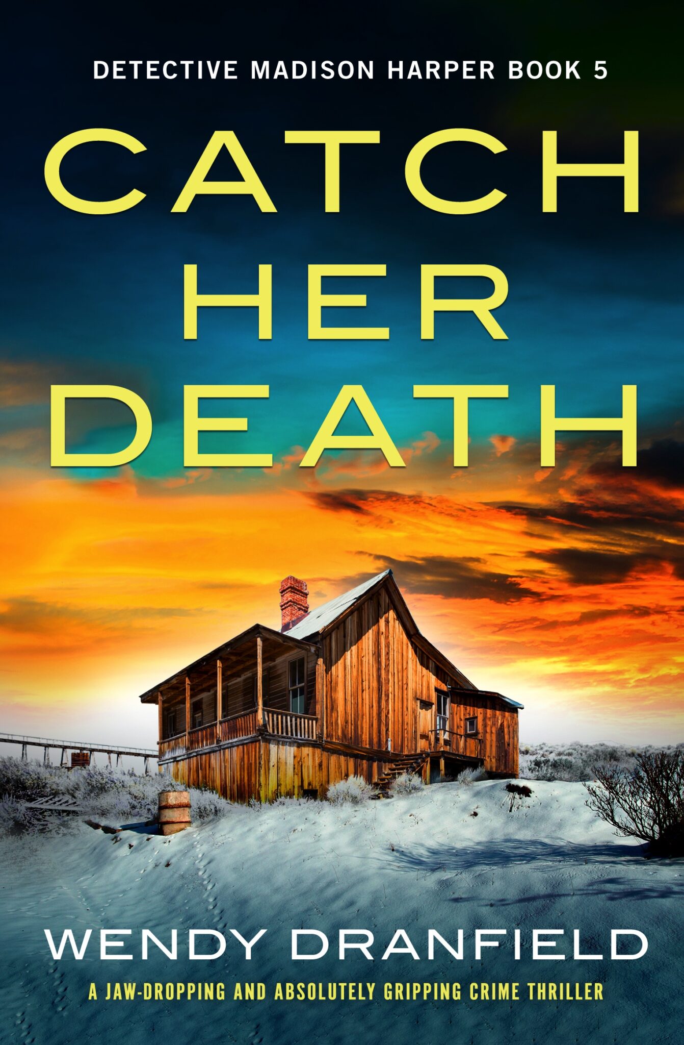 Catch Her Death, by Wendy Dranfield - loopyloulaura