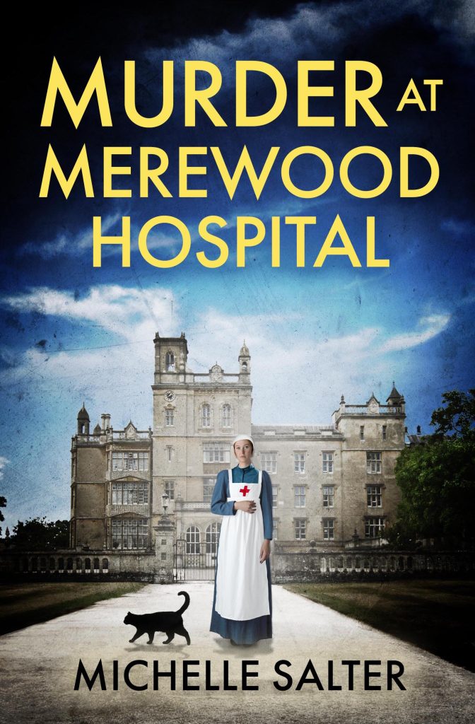 Murder at Merewood Hospital book cover