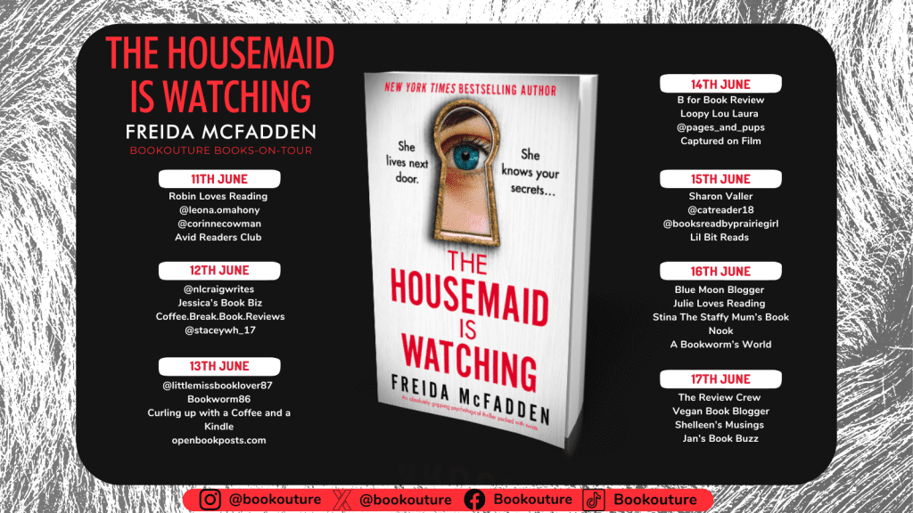 The Housemaid is Watching blog tour banner